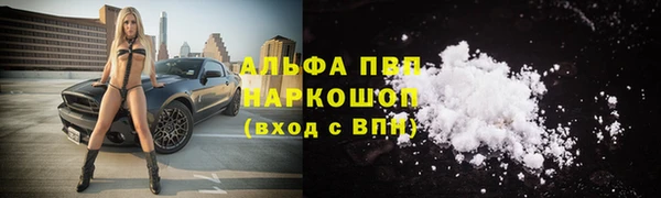 молекула духа Арсеньев
