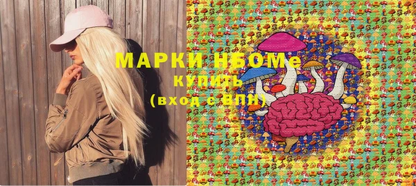 молекула духа Арсеньев