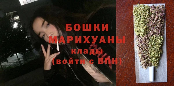 молекула духа Арсеньев