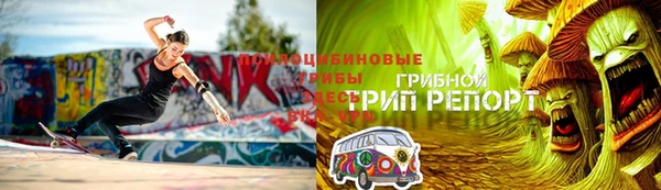 твердый Аркадак